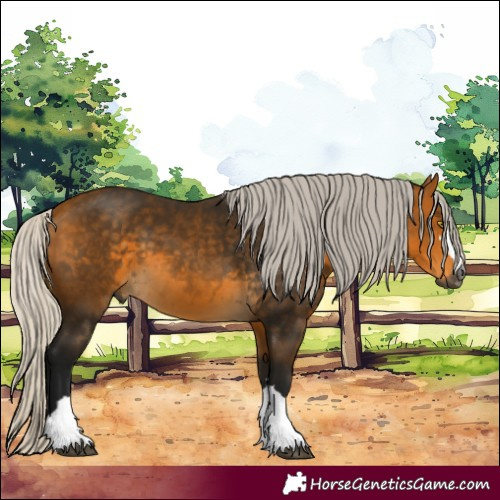 Horse Color:Gray Silver Buckskin