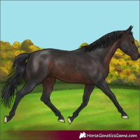 Horse Color:Brown 