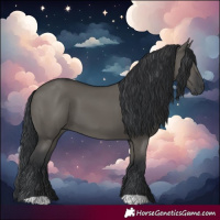 Horse Color:Grullo 