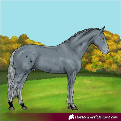 Horse Color:ERROR: UNKNOWN ANOMALY