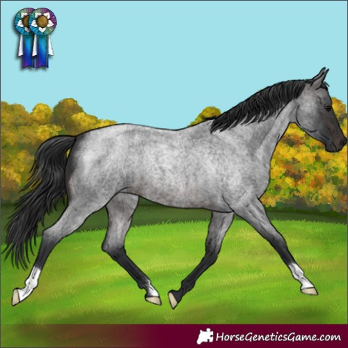 Horse Color:Brown Roan 
