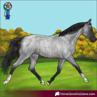 Horse Color:Brown Roan