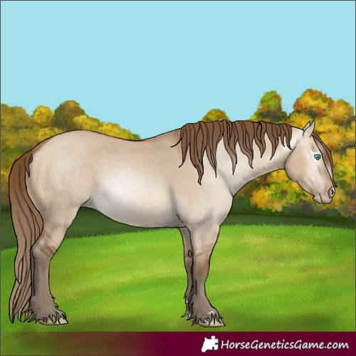 Horse Color:Gray Perlino Dun 