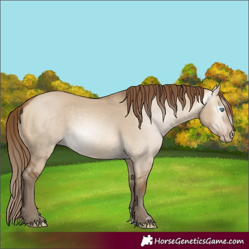 Horse Color:Gray Perlino Dun 