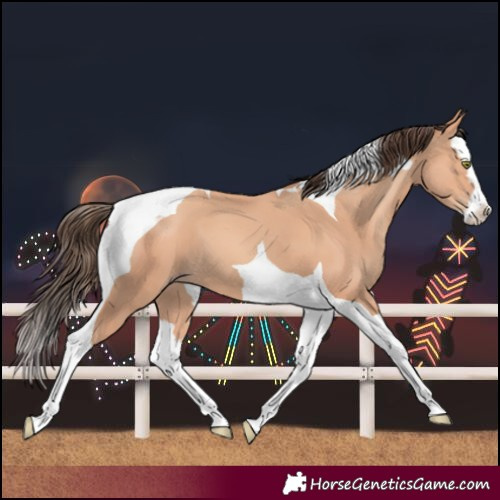 Horse Color:Amber Champagne Splash Tobiano