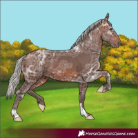 Horse Color:Silver Brown Ice 