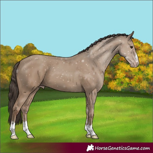 Horse Color:Classic Champagne 