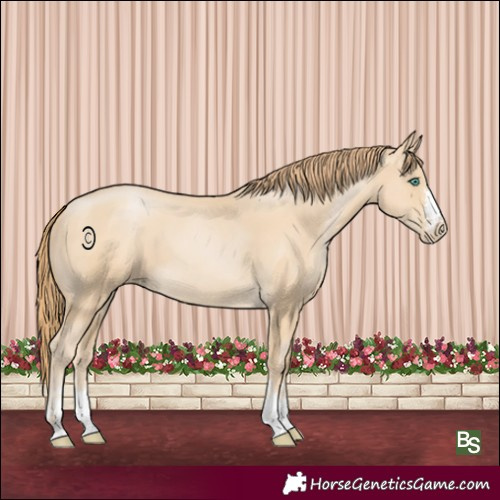 Horse Color:Smoky Black Pearl 