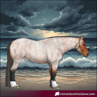 Horse Color:Bay Roan