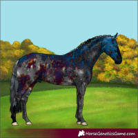 Horse Color:ERROR: UNKNOWN ANOMALY