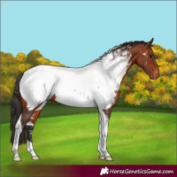 Horse Color:Bay Tobiano Near Fewspot 