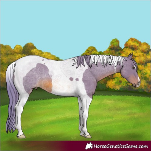 Horse Color:Watercolor Chestnut Tobiano 