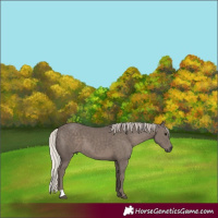 Horse Color:Silver Black 