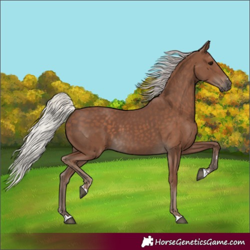Horse Color:Silver Black 