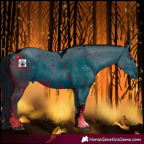 Horse Color:ERROR: UNKNOWN ANOMALY