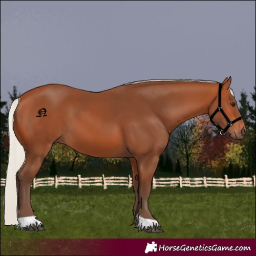 Horse Color:Silver Bay