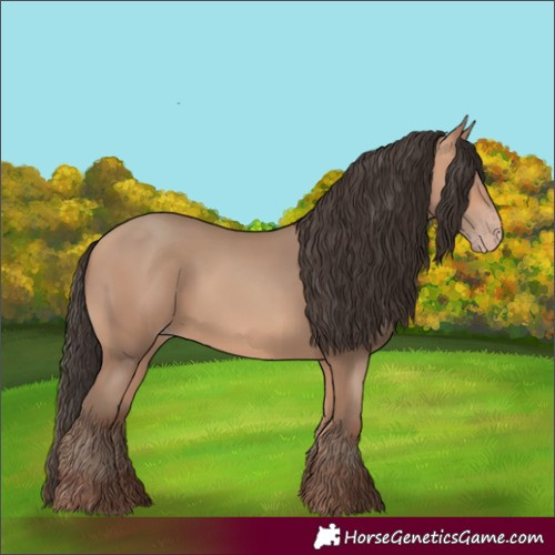 Horse Color:Amber Champagne 
