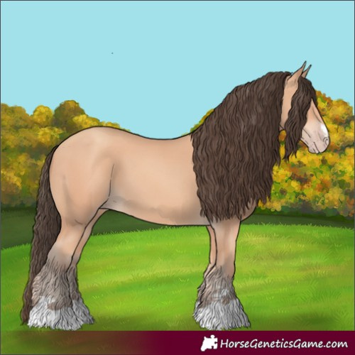 Horse Color:Amber Champagne 
