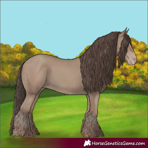 Horse Color:Classic Champagne 