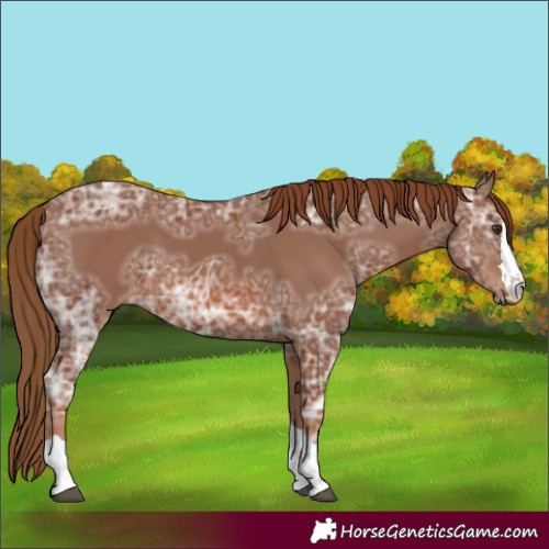 Horse Color:Chestnut Ice 