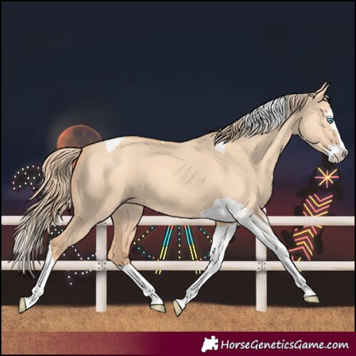 Horse Color:Gold Champagne Dun Splash Tobiano 