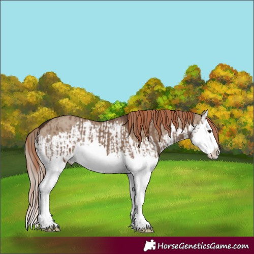 Horse Color:Liver Red Dun Splash  and Liver Red Dun Splash 