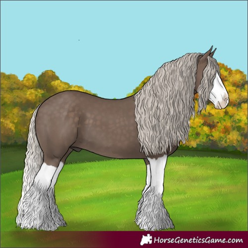 Horse Color:Silver Black Splash 