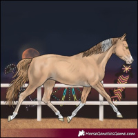Horse Color:Gold Champagne Splash Tobiano