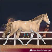 Horse Color:Gold Champagne Splash Tobiano