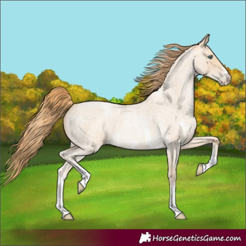 Horse Color:Smoky Blue Roan Pearl Sabino 