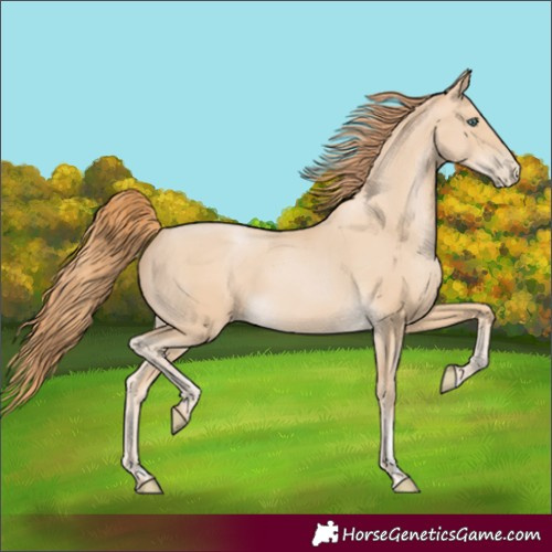 Horse Color:Smoky Black Pearl 
