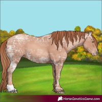 Horse Color:Gold Champagne Ice 