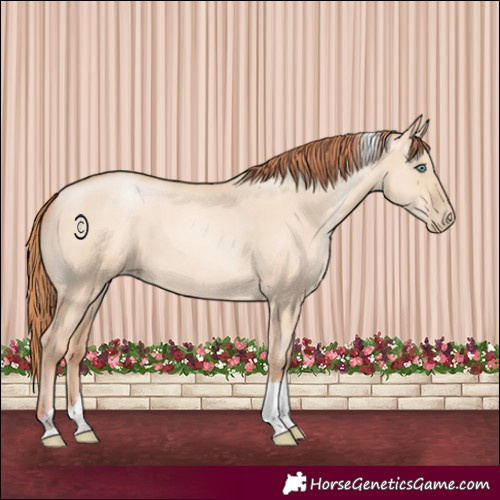Horse Color:Classic Champagne Pearl Dun Tobiano 