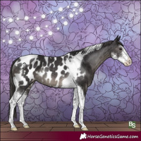 Horse Color:Smoky Black Sabino Tobiano Blanket Rabicano