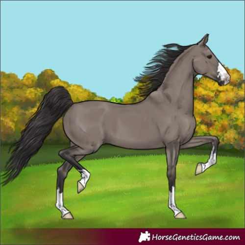 Horse Color:Smoky Grullo 