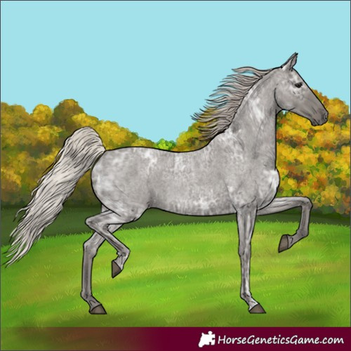 Horse Color:Silver Blue Ice Roan 