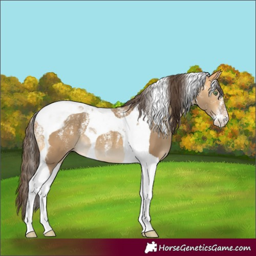 Horse Color:Powder White Amber Cream Champagne Tobiano 