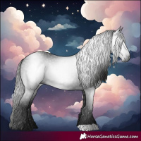 Horse Color:Gray Black