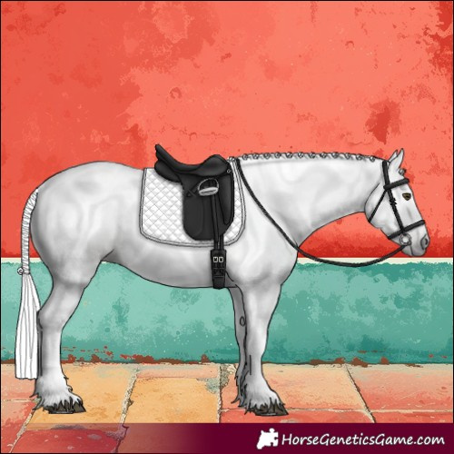 Horse Color:Gray Palomino 