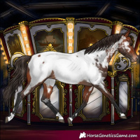 Horse Color:Bay Near Fewspot