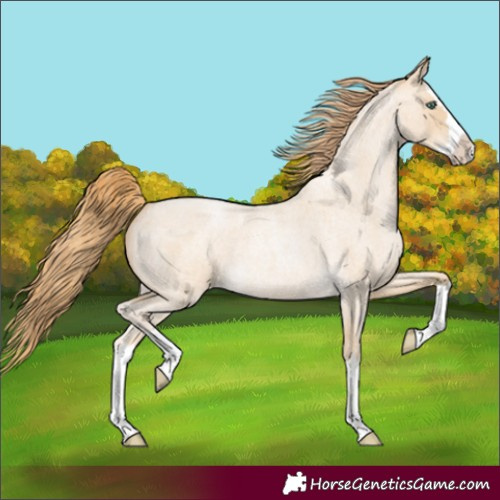 Horse Color:Smoky Blue Roan Pearl Splash 