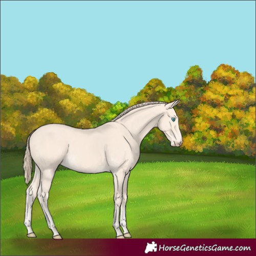 Horse Color:Perlino 