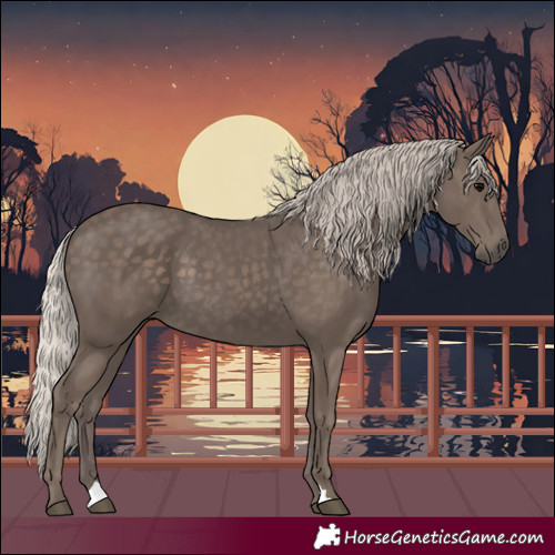 Horse Color:Silver Black 