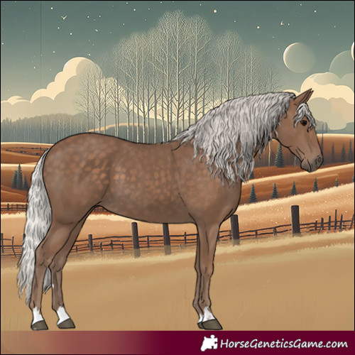 Horse Color:Silver Black 
