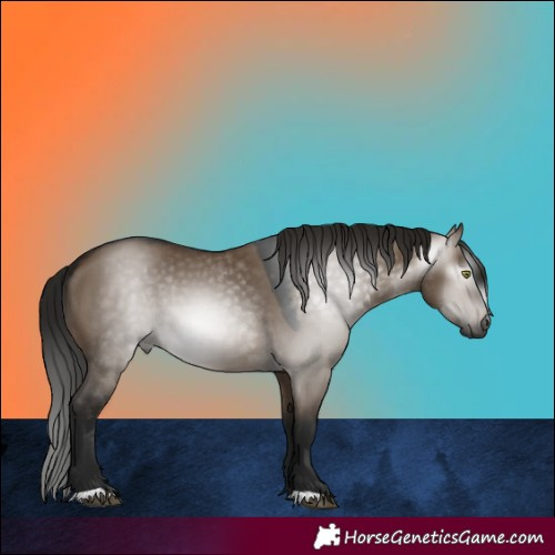 Horse Color:Gray Brown Dun 
