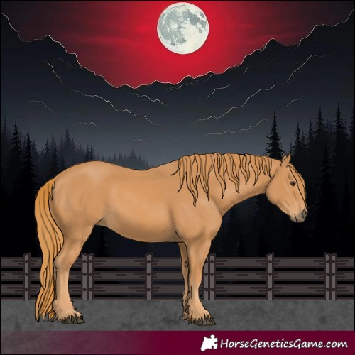 Horse Color:Chestnut Rabicano 