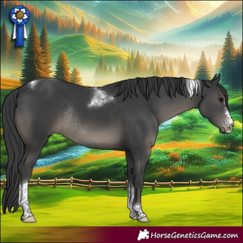 Horse Color:Black Sabino Tobiano Rabicano 