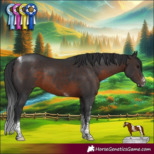 Horse Color:Brown Sabino Tobiano 