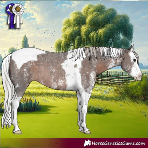 Horse Color:Silver Brown Sabino Splash Tobiano Rabicano 