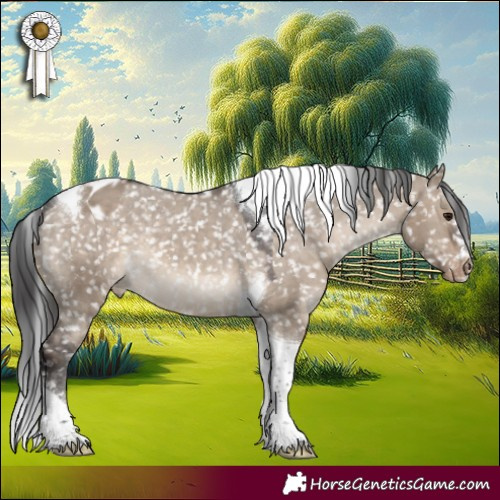 Horse Color:Brown Dun Tobiano Appaloosa 